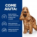 Hill's Prescription Diet Canine z/d ULTRA Allergen-Free food sensitivities alimento secco 10 Kg  offerta prezzo al kg / € 7,59